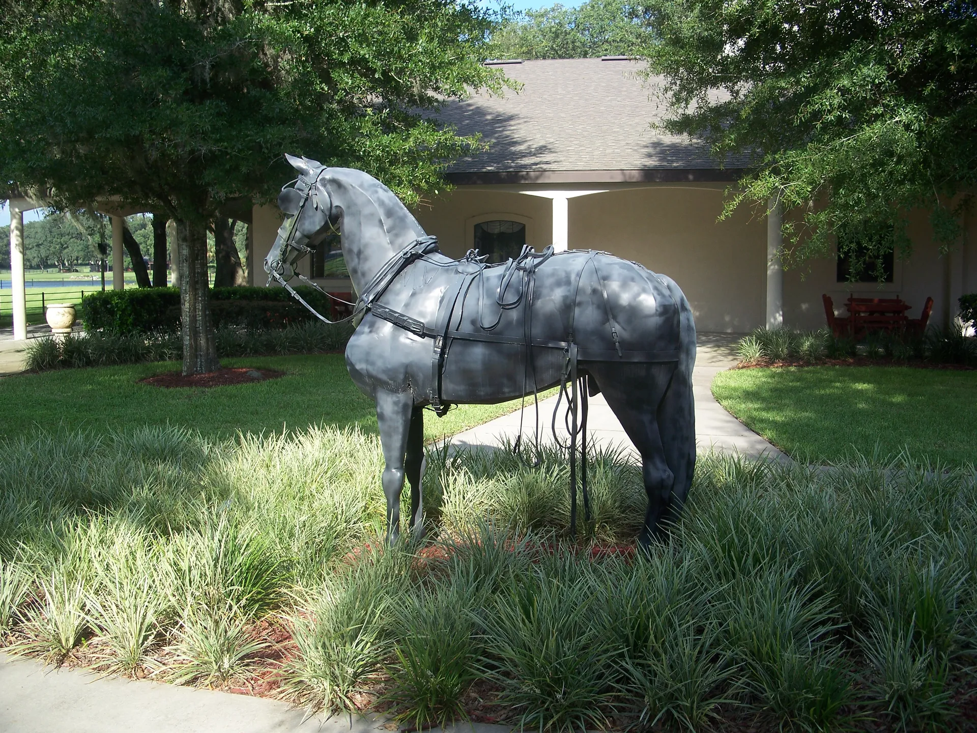 Horse at a Marion County, Florida farm